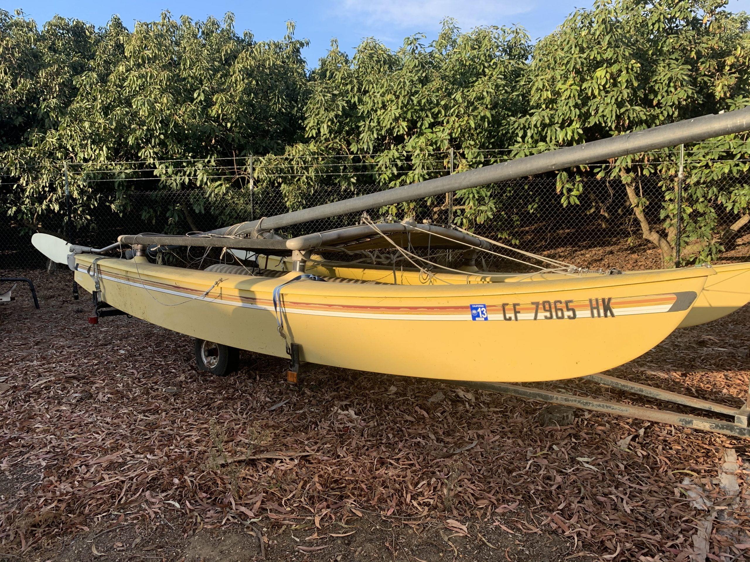1981 Yellow Hobie 16 Gets a new life!